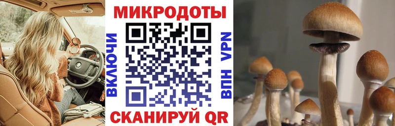 Псилоцибиновые грибы Psilocybe  ссылка на мегу tor  Черноголовка 